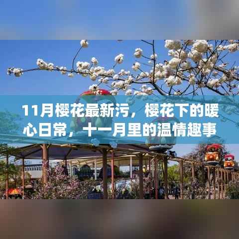 避免涉黄!以下是一个标题建议,,十一月樱花下的暖心日常与趣事远离低俗内容。