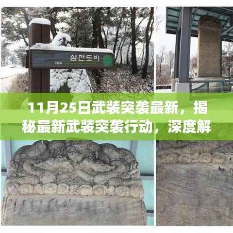 揭秘最新武装突袭行动,深度解读行动要点及影响(某年某月某日案例分析)