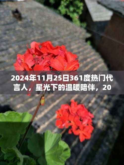 星光下的陪伴,与361度代言人共度的欢乐时光(2024年11月25日)