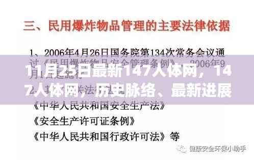 11月25日最新更新，147人体网的历史脉络、最新进展与时代印记