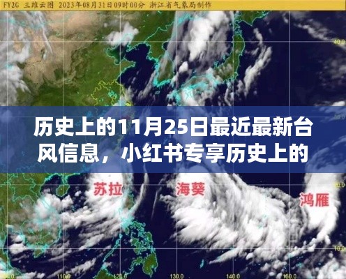 历史上的11月25日与最新台风信息,小红书独家揭秘大揭秘