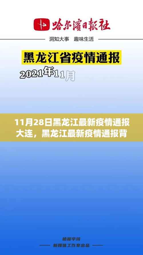 黑龙江最新疫情通报与小巷深处的独特小店探秘，11月28日最新消息
