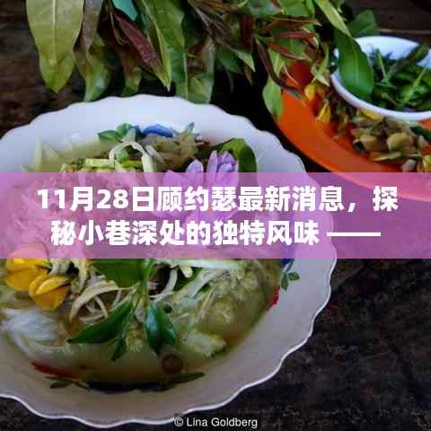 顾约瑟揭秘小巷独特风味,最新发现之旅(11月28日更新)