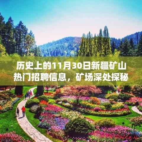 历史上的11月30日新疆矿山招聘信息深度解析,矿场探秘与心灵之旅的邀请