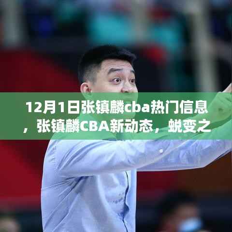 张镇麟CBA蜕变之路,从12月1日启航,新动态展现学习自信之路