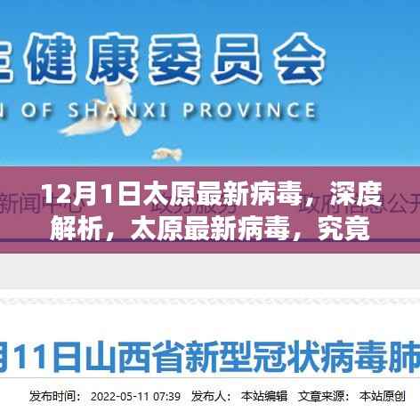 太原最新病毒深度解析,溯源、演变与防控策略探讨