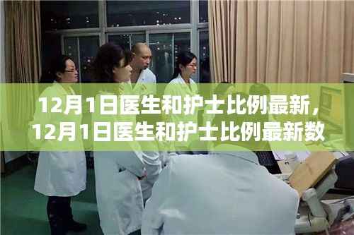 最新医生和护士比例数据发布，医疗行业守护力量的深度分析