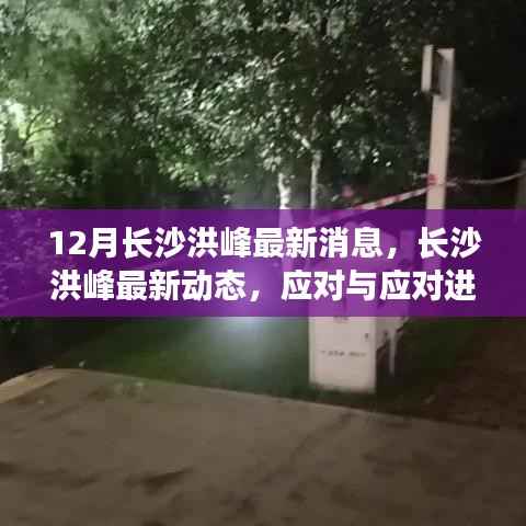 废寝忘食 第14页