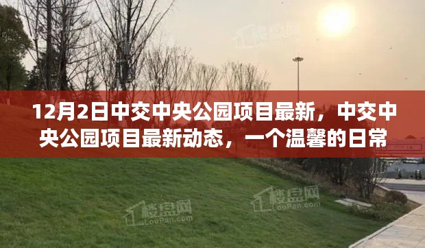 中交中央公园项目最新动态，温馨日常故事开启新篇章