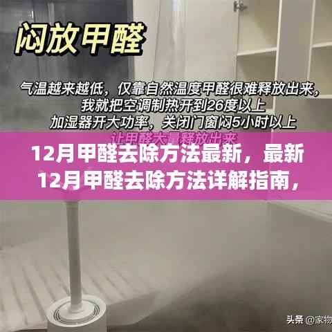 最新12月甲醛去除方法详解，高效除醛技能指南