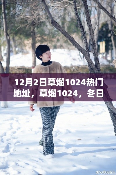 冬日暖阳下的草熘1024奇遇,热门地址揭秘与温情分享