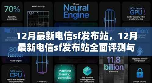 最新电信SF发布站评测与介绍，全面洞悉12月最新动态