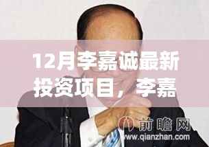 李嘉诚最新投资项目揭秘,重磅出击背后的故事与深远影响