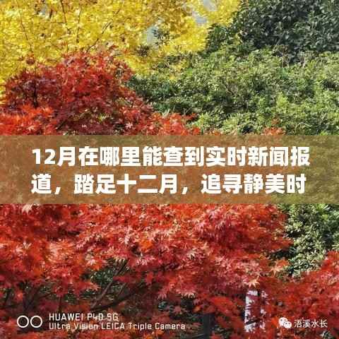 十二月实时新闻报道，与自然对话的旅行艺术，踏足静美时光