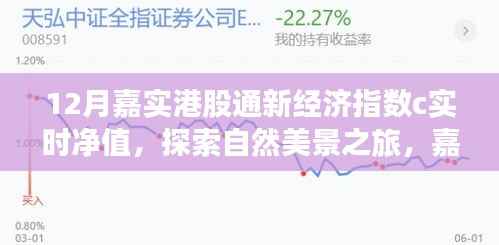 嘉实港股通新经济指数下的自然美景探索与心灵净化时刻（实时净值）