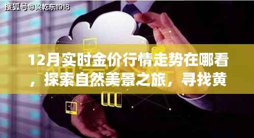12月实时金价走势探索与心灵之旅,行情指南与美景赏析