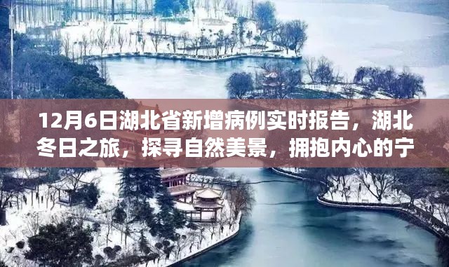 十二月六日湖北省疫情实时报告，探寻自然美景与内心宁静之旅的幕后故事