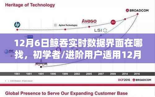 12月6日鲸吞实时数据界面查找全攻略,适合初学者与进阶用户