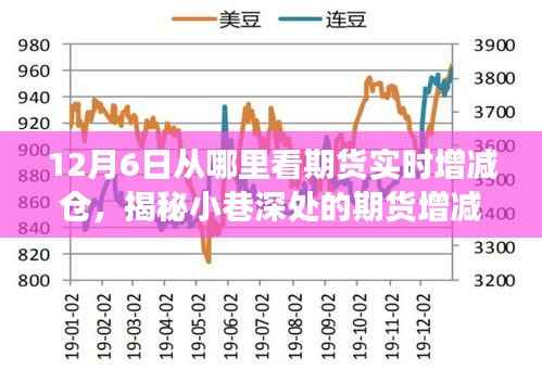 揭秘期货实时增减仓情报站,12月6日观察之旅,洞悉期货动态变化