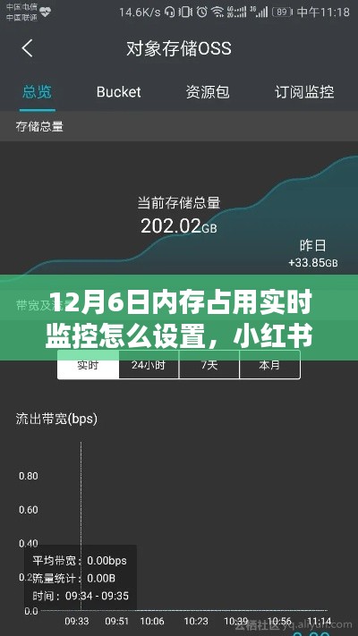 小红书教你，如何设置12月6日内存占用实时监控？保姆级教程！
