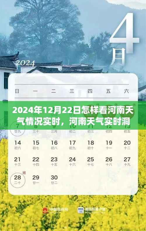 河南冬至气象洞察,2024年12月22日实时天气分析与洞察