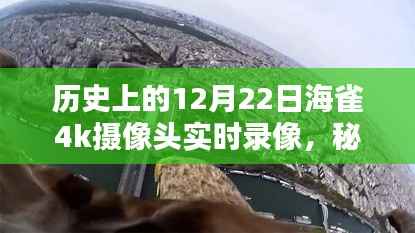 揭秘海雀4K摄像头魔法时刻,秘境探索与小巷深处的特色小店录像纪实