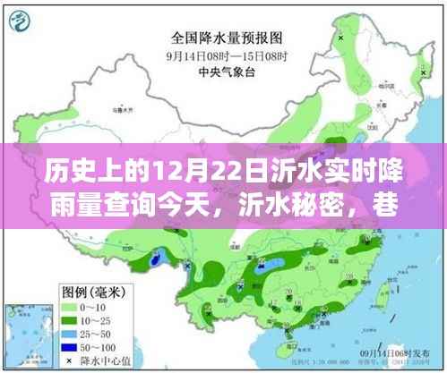 沂水今日实时降雨查询,雨日里的惊喜宝藏与历史深度探索