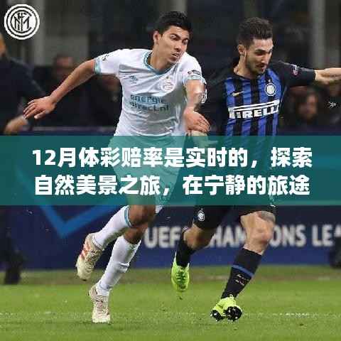 十二月体彩赔率实时探索,自然美景之旅中的真实自我探索之旅