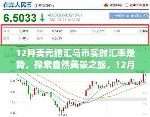 探索自然美景之旅与揭秘美元结汇马币实时汇率走势背后的冒险与宁静