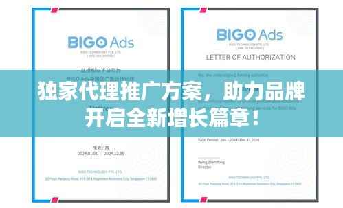 独家代理推广方案,助力品牌开启全新增长篇章!