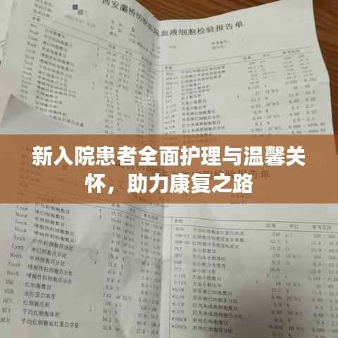 新入院患者全面护理与温馨关怀,助力康复之路