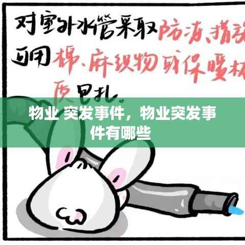 物业 突发事件,物业突发事件有哪些