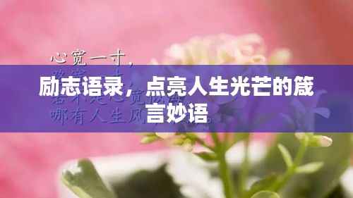 pangaojiegui 第10页