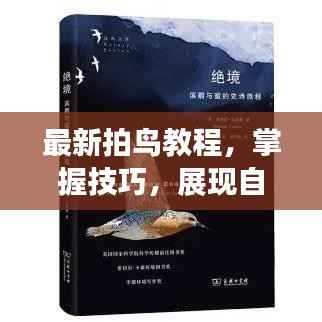 最新拍鸟教程,掌握技巧,展现自然之美惊艳瞬间
