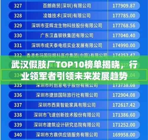武汉假肢厂TOP10榜单揭晓，行业领军者引领未来发展趋势