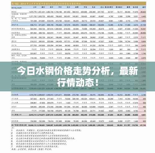 今日水钢价格走势分析，最新行情动态！
