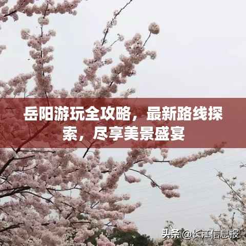 岳阳游玩全攻略,最新路线探索,尽享美景盛宴