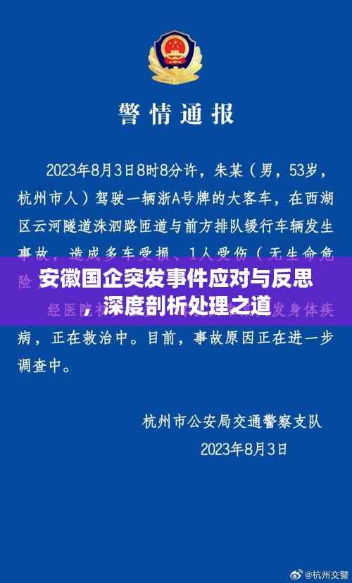 安徽国企突发事件应对与反思，深度剖析处理之道