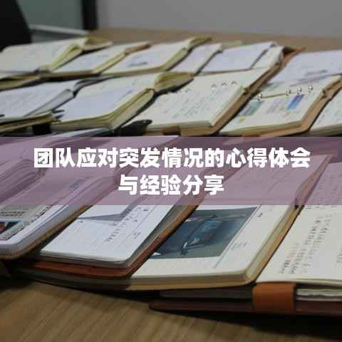 团队应对突发情况的心得体会与经验分享