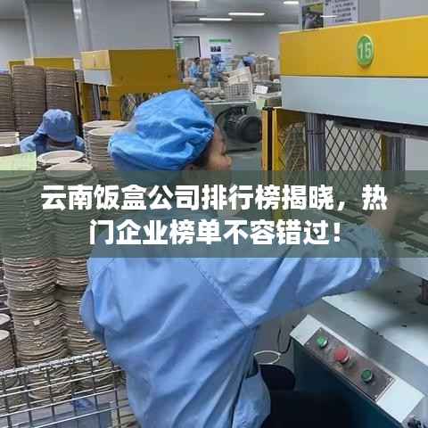 云南饭盒公司排行榜揭晓，热门企业榜单不容错过！