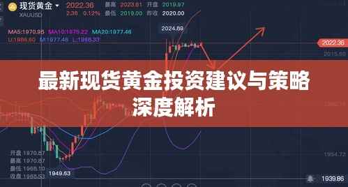 最新现货黄金投资建议与策略深度解析
