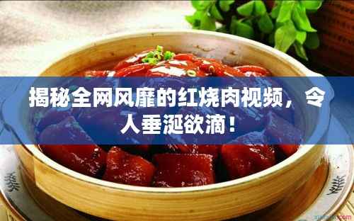 揭秘全网风靡的红烧肉视频,令人垂涎欲滴!