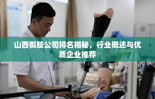 山西假肢公司排名揭秘,行业概述与优质企业推荐