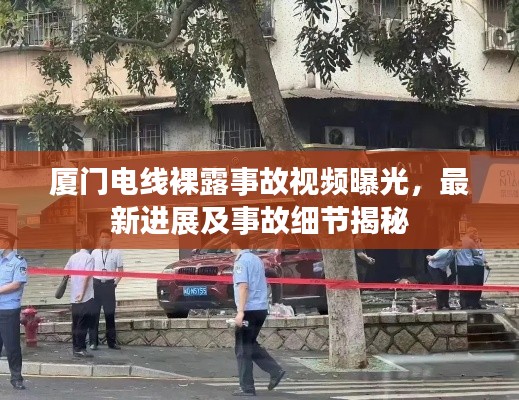 bingguishensu 第7页