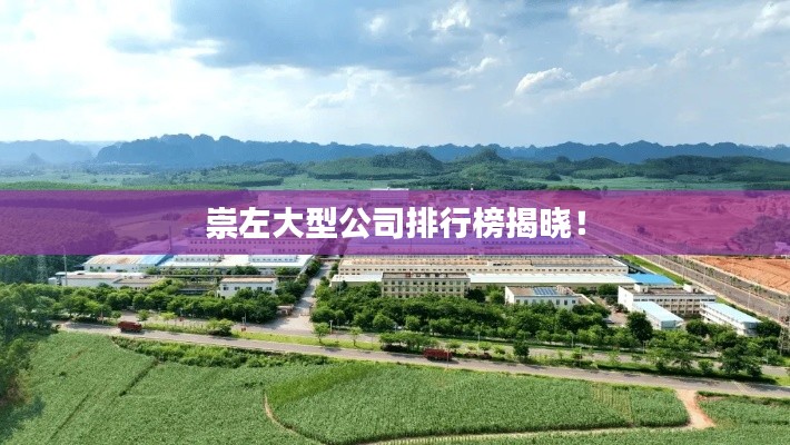 崇左大型公司排行榜揭晓!
