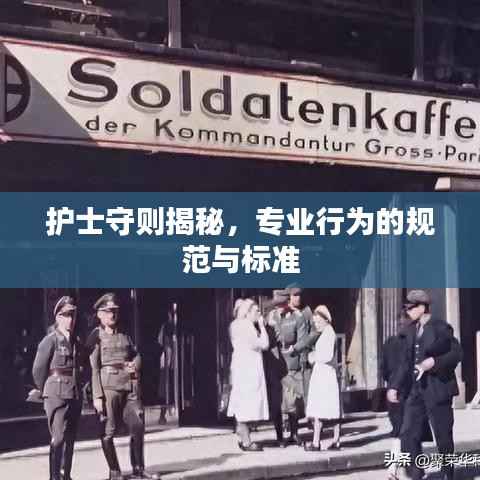 护士守则揭秘,专业行为的规范与标准