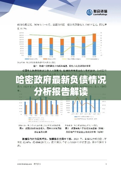 哈密政府最新负债情况分析报告解读
