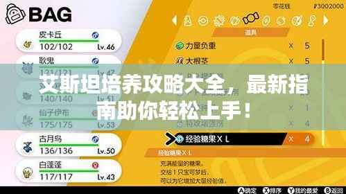 艾斯坦培养攻略大全,最新指南助你轻松上手!