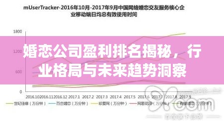 婚恋公司盈利排名揭秘,行业格局与未来趋势洞察