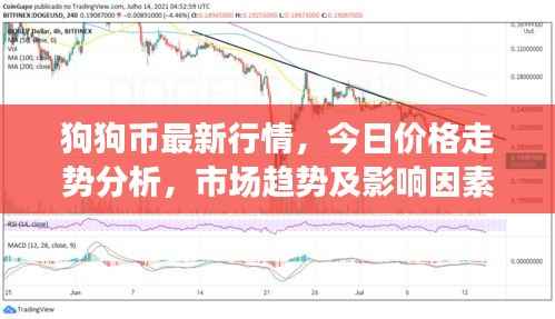 狗狗币最新行情,今日价格走势分析,市场趋势及影响因素探讨
